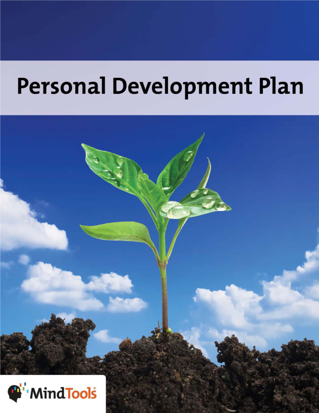 Personal Development Plan