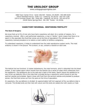 Vasectomy Reversal-Restoring Fertility