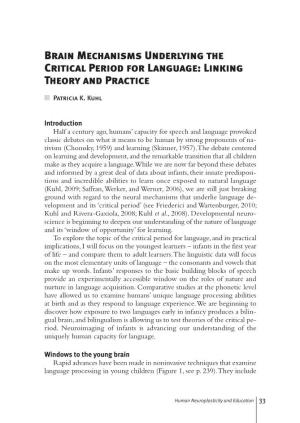 Brain Mechanisms Underlying the Critical Period for Language: Linking Theory and Practice
