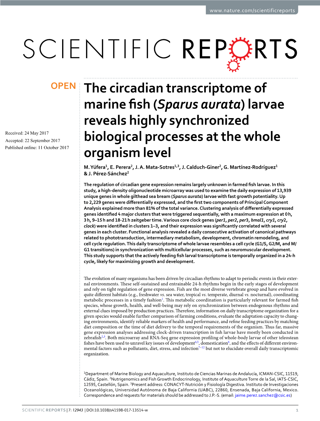 The Circadian Transcriptome of Marine Fish (Sparus Aurata) Larvae Reveals