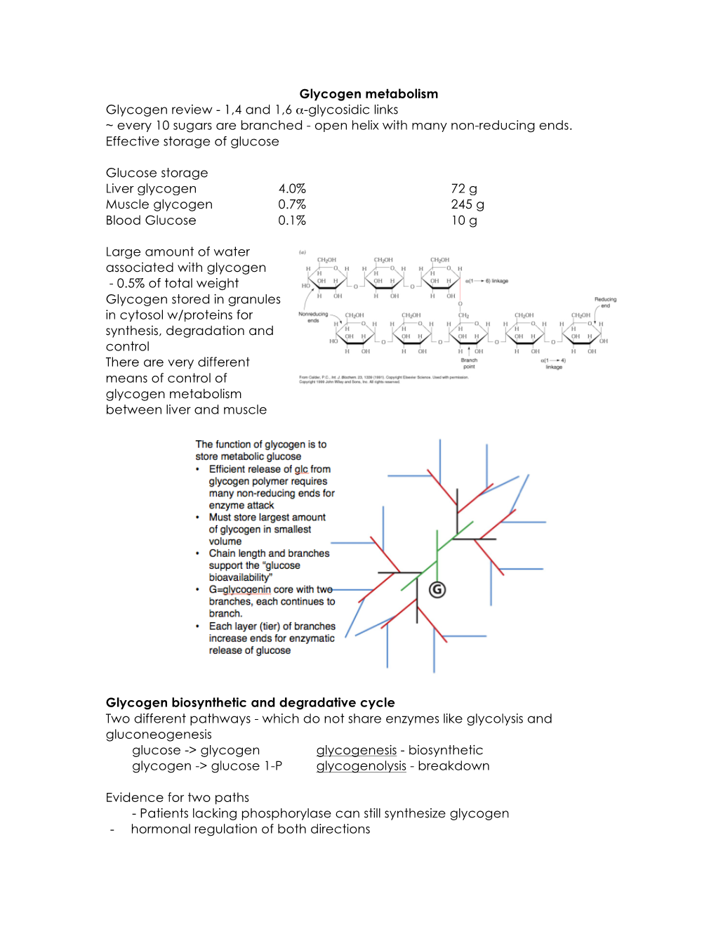 Chem331 Glycogen Metabolism