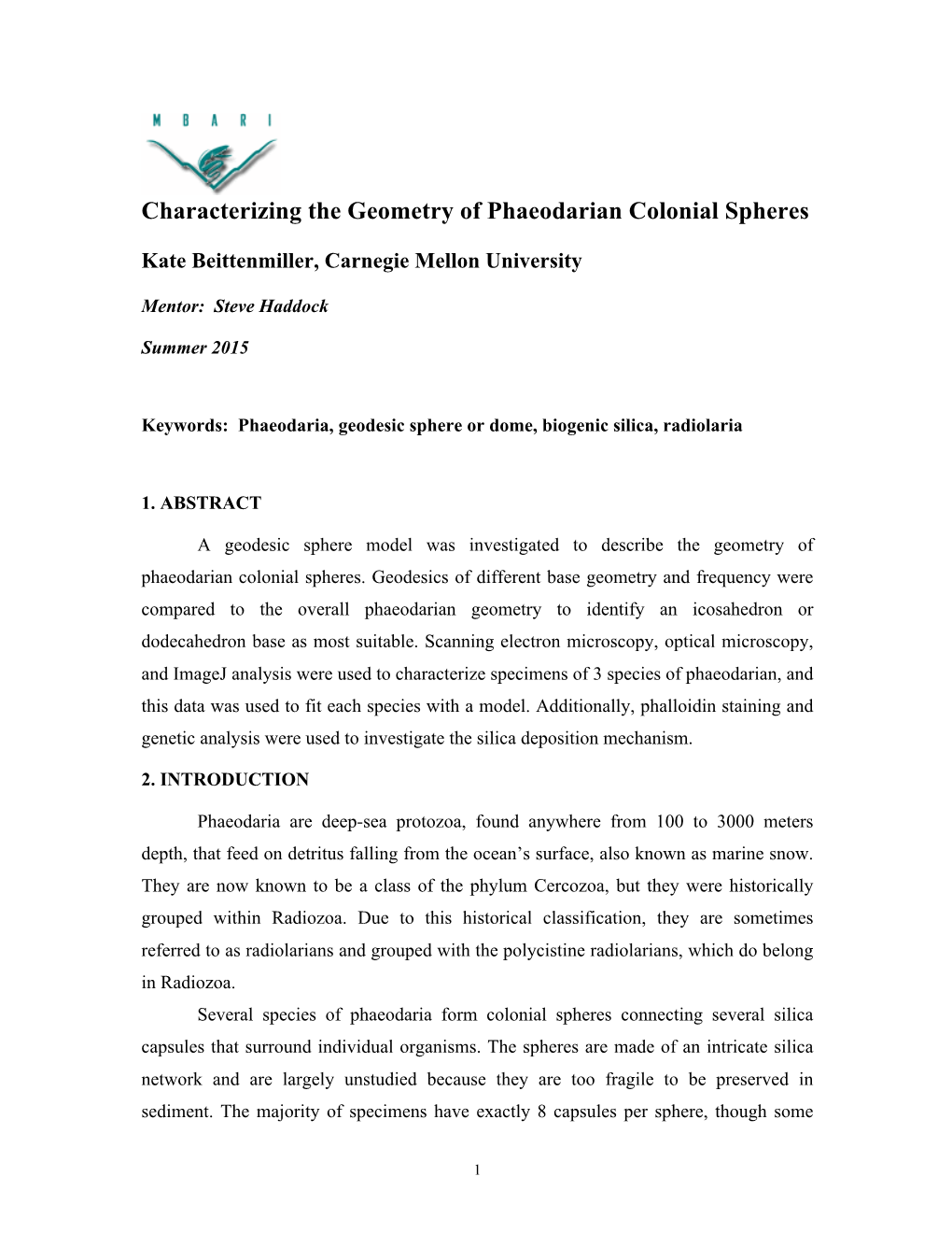 Characterizing the Geometry of Phaeodarian Colonial Spheres