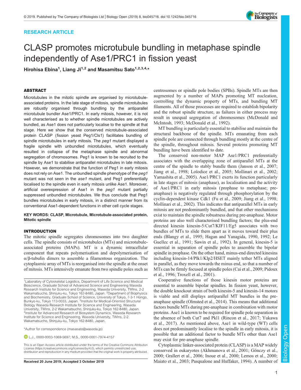 CLASP Promotes Microtubule Bundling in Metaphase Spindle Independently of Ase1/PRC1 in Fission Yeast Hirohisa Ebina1, Liang Ji1,2 and Masamitsu Sato1,2,3,4,*