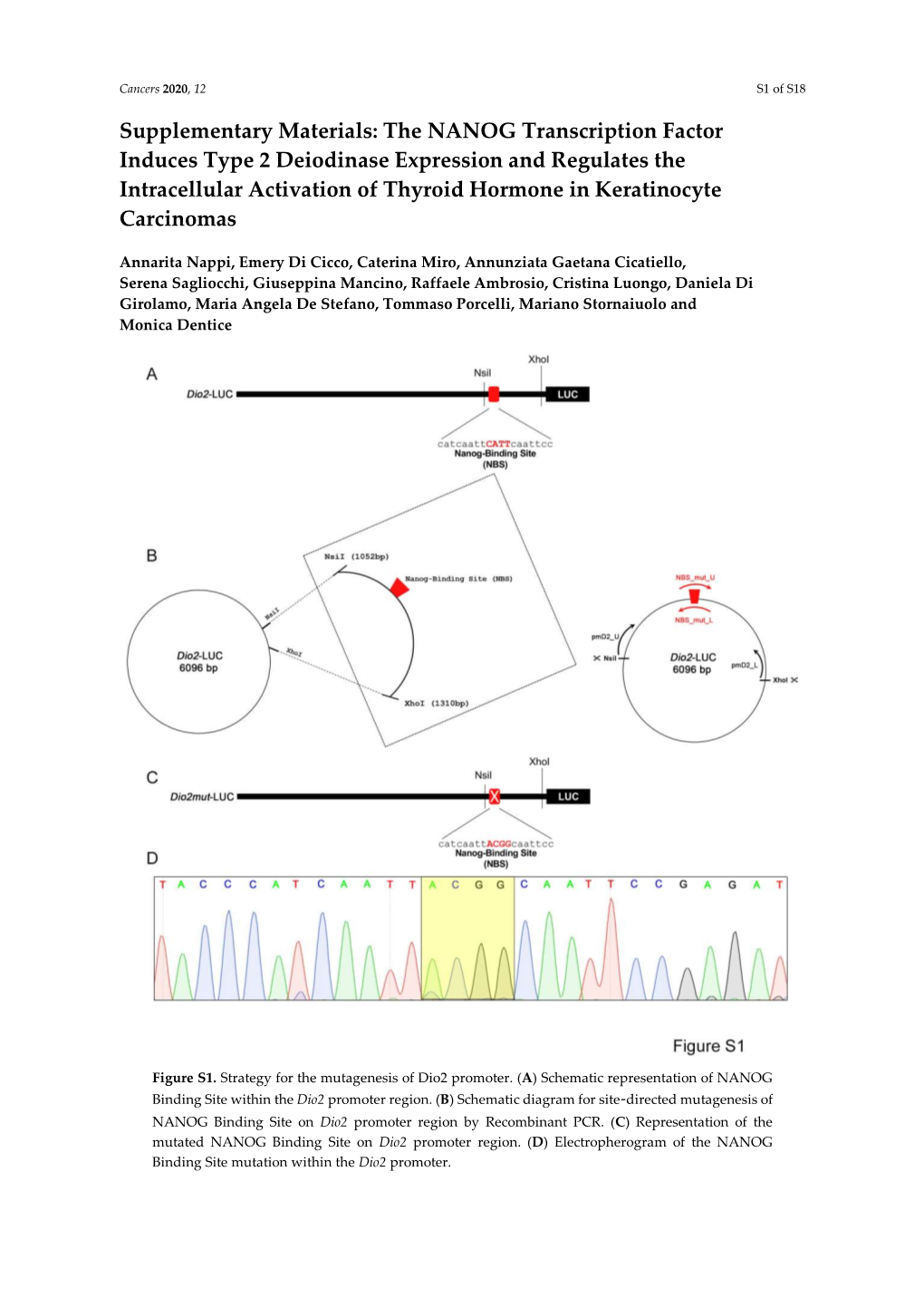 The NANOG Transcription Factor Induces Type 2 Deiodinase Expression and Regulates the Intracellular Activation of Thyroid Hormone in Keratinocyte Carcinomas