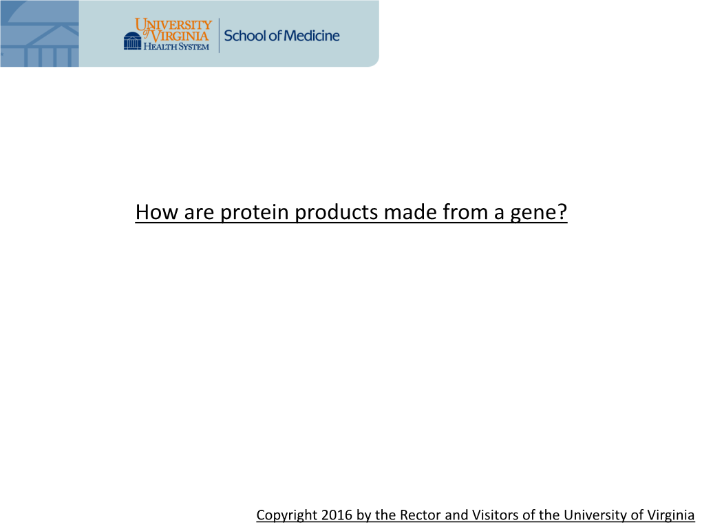 How Are Protein Products Made from a Gene?