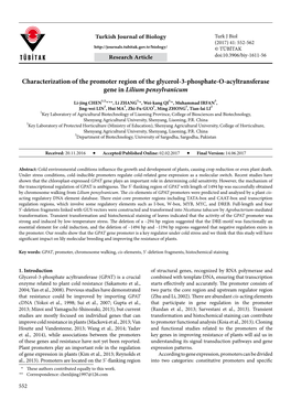 Characterization of the Promoter Region of the Glycerol-3-Phosphate-O-Acyltransferase Gene in Lilium Pensylvanicum
