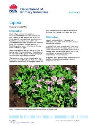 Lippia Invasive Species Unit Introduction More Humid Coastal Areas of NSW and Tropical Australia