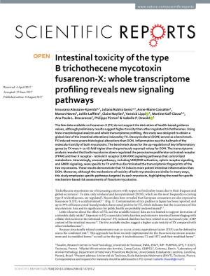 Intestinal Toxicity of the Type B Trichothecene Mycotoxin Fusarenon-X