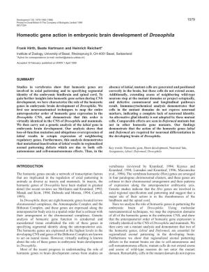 Homeotic Gene Action in Embryonic Brain Development of Drosophila