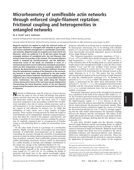 Microrheometry of Semiflexible Actin Networks Through Enforced Single-Filament Reptation: Frictional Coupling and Heterogeneities in Entangled Networks