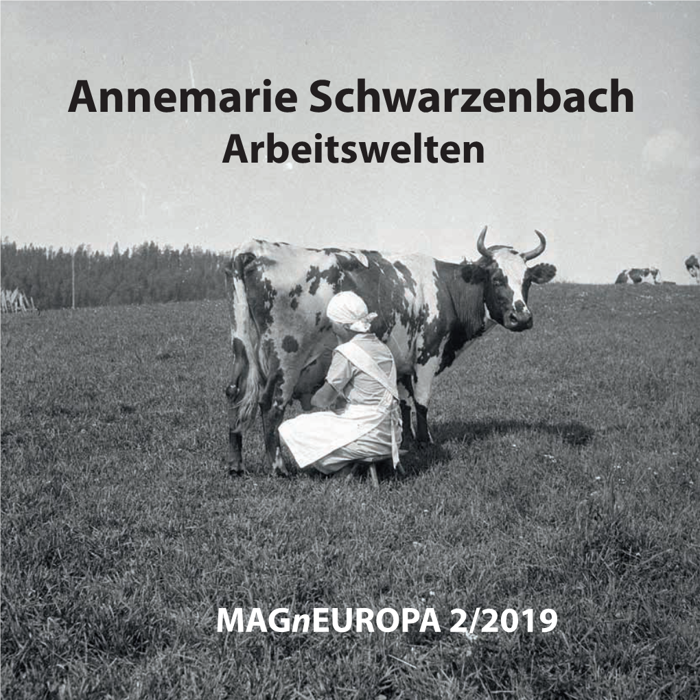 Annemarie Schwarzenbach Arbeitswelten