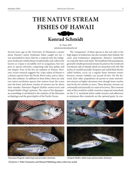 The Native Stream Fishes of Hawaii