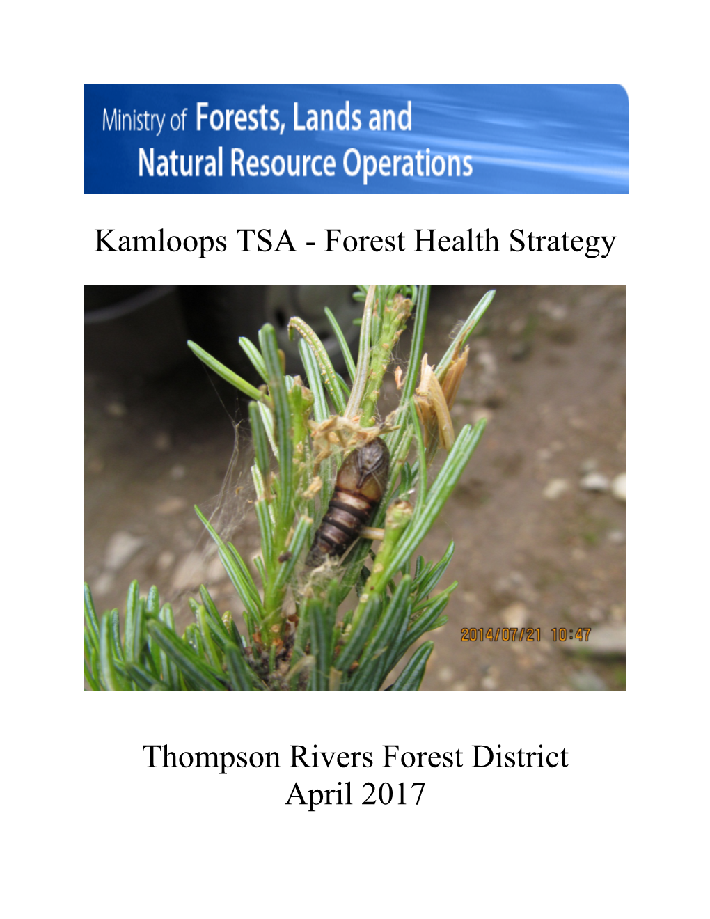 Kamloops TSA - Forest Health Strategy