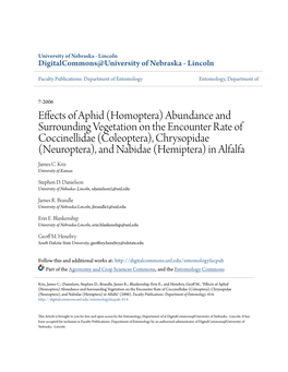Effects of Aphid (Homoptera) Abundance and Surrounding