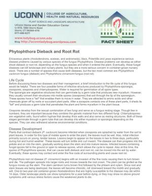 Phytophthora Dieback and Root Rot