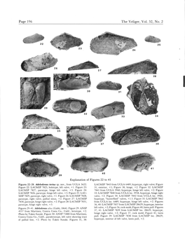 Page 196 the Veliger, Vol. 32, No. 2