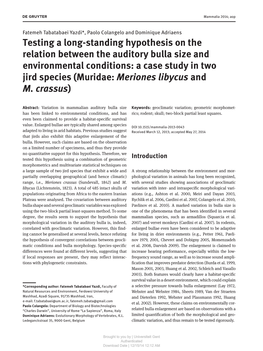 Testing a Long-Standing Hypothesis on the Relation Between the Auditory