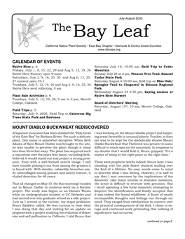 July-August Bay Leaf