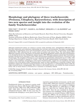 Morphology and Phylogeny of Three Trachelocercids (Protozoa