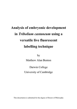 Analysis of Embryonic Development in Tribolium Castaneum Using a Versatile Live Fluorescent Labelling Technique