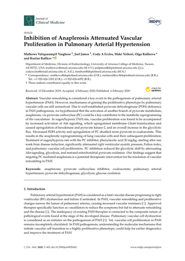 Inhibition of Anaplerosis Attenuated Vascular Proliferation in Pulmonary Arterial Hypertension