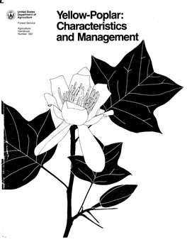 Yellow-Poplar: Characteristics and Management