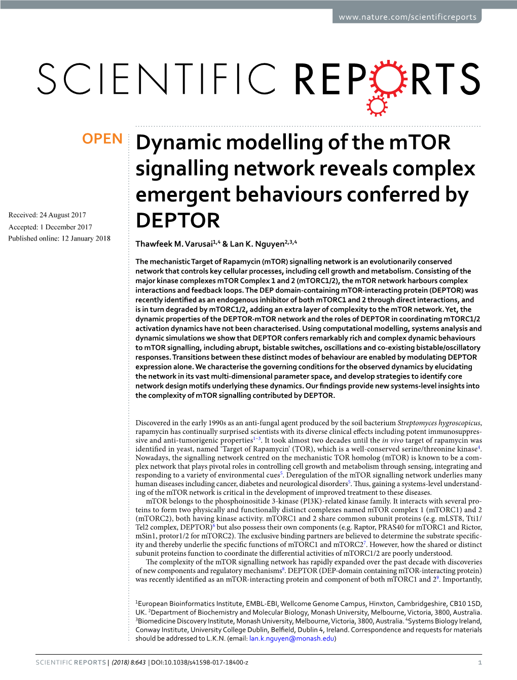 Dynamic Modelling of the Mtor Signalling Network Reveals Complex