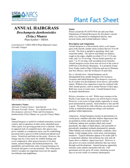 Plant Fact Sheet for Annual Hairgrass (Deschampsia Danthonioides)