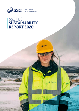 Sse Plc Sustainability Report 2020 Sustainability Report