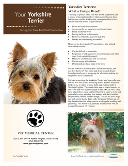 Yorkshire Terriers: What a Unique Breed! PET MEDICAL CENTER