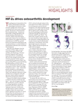 HIF-2Α Drives Osteoarthritis Development