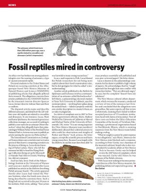 Fossil Reptiles Mired in Controversy