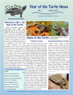 Year of the Turtle News No