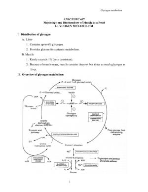 8. Glycogen Synthesis and Degradation