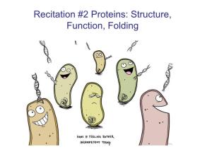 CHAPTER 4 Proteins: Structure, Function, Folding