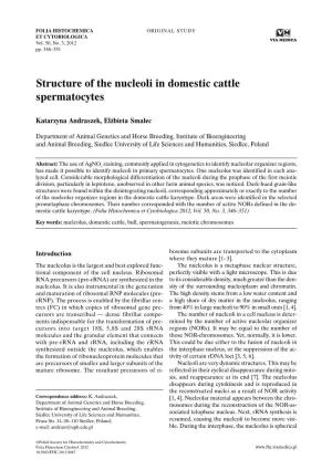 Structure of the Nucleoli in Domestic Cattle Spermatocytes