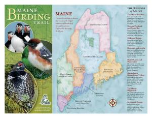 The Regions of Maine MAINE the Maine Beaches Long Sand Beaches and the Most Forested State in America Amusements