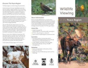 Wildlife Viewing in the Peace Region