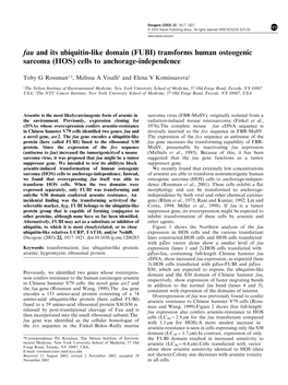 Fau and Its Ubiquitin-Like Domain (FUBI) Transforms Human Osteogenic Sarcoma (HOS) Cells to Anchorage-Independence