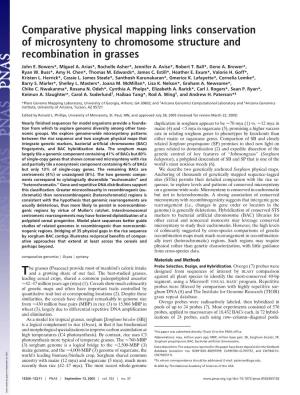 Comparative Physical Mapping Links Conservation of Microsynteny to Chromosome Structure and Recombination in Grasses