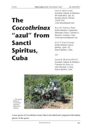 The Coccothrinax “Azul” from Sancti Spiritus, Cuba
