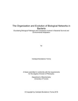 The Organization and Evolution of Biological Networks in Bacteria