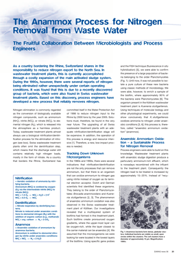 The Anammox Process for Nitrogen Removal from Waste Water