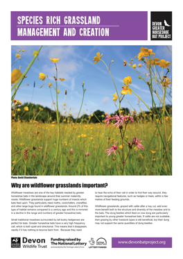 Species Rich Grassland Management and Creation