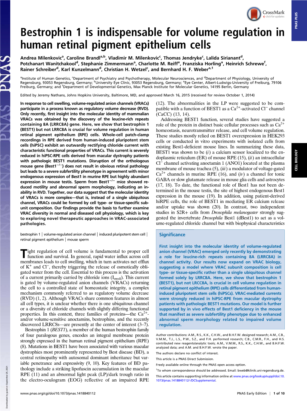 Bestrophin 1 Is Indispensable for Volume Regulation in Human Retinal