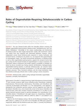 Roles of Organohalide-Respiring Dehalococcoidia in Carbon Cycling