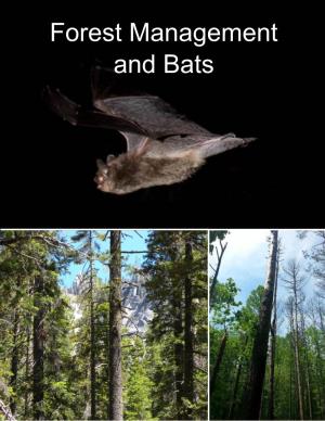 Forest Management and Bats
