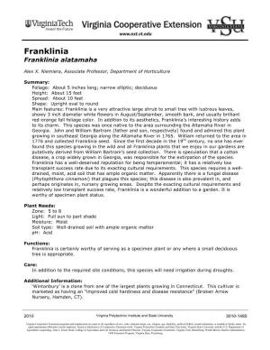 Franklinia Franklinia Alatamaha