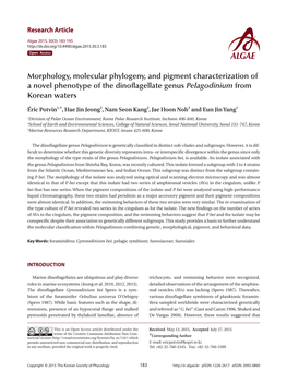 Morphology, Molecular Phylogeny, and Pigment Characterization of a Novel Phenotype of the Dinoflagellate Genuspelagodinium from Korean Waters