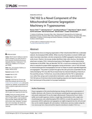 TAC102 Is a Novel Component of the Mitochondrial Genome Segregation Machinery in Trypanosomes